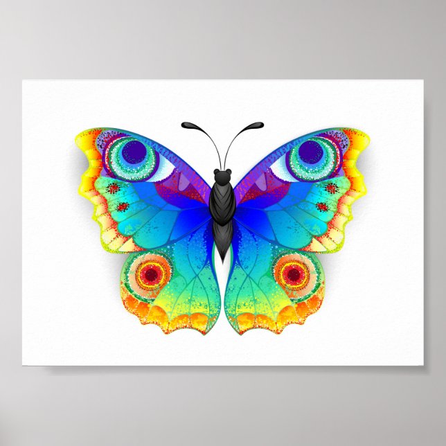 Regenbogen Schmetterling Pfauenauge Poster (Vorne)