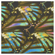 Regenbogen-Schmetterlings-Flügel