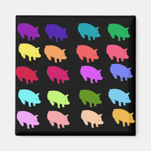 Regenbogen-Schweine Magnet