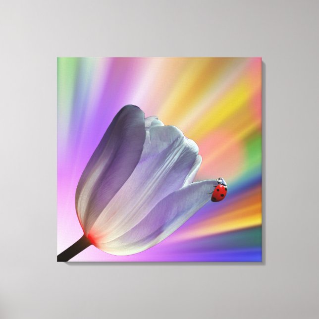 Regenbogen, Tulips und Ladybug Leinwanddruck (Vorderseite)