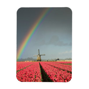 Regenbogen, Tulpen und Hebmagnet der Windmühle Magnet