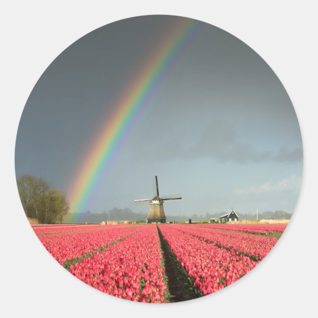 Regenbogen, Tulpen und runder Aufkleber der (Vorderseite)
