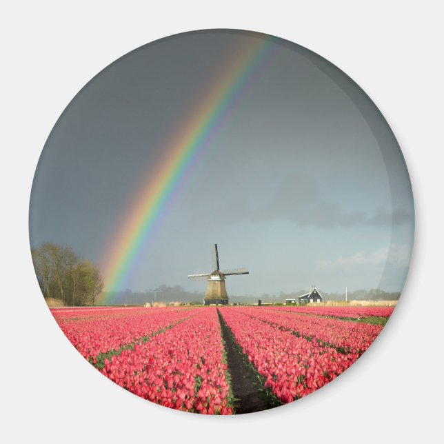 Regenbogen, Tulpen und Rundmagnete Magnet (Vorne)