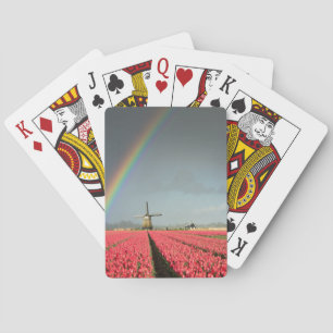 Regenbogen, Tulpen und Spielkarten der Windmühle