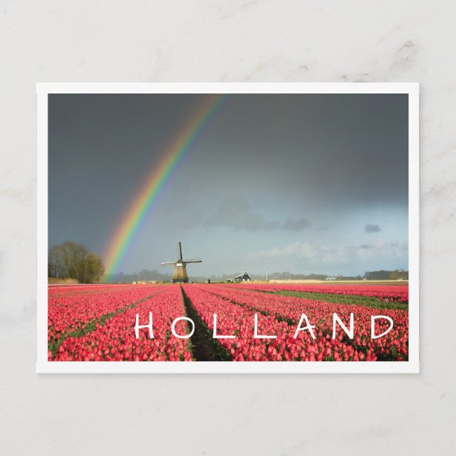 Regenbogen, Tulpen und Windmühle Holländer Postkar Postkarte (Vorderseite)