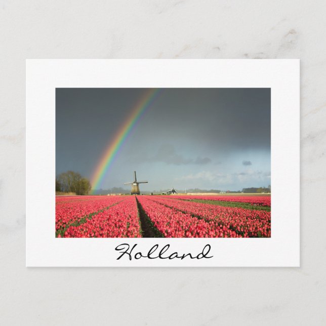 Regenbogen, Tulpen und Windmühle in Holland Postka Postkarte (Vorderseite)