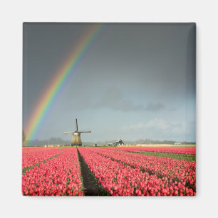 Regenbogen, Tulpen und Windmühle-Magnet Magnet