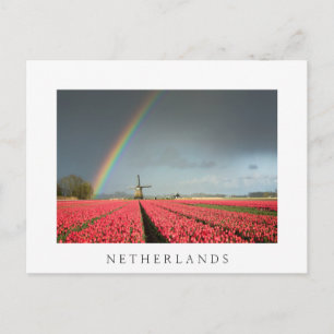 Regenbogen, Tulpen und Windmühle Niederlande Postk Postkarte