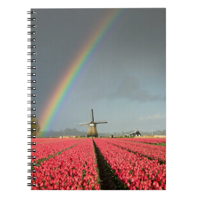 Regenbogen, Tulpen und Windmühlennotizbuch Notizblock (Vorderseite)