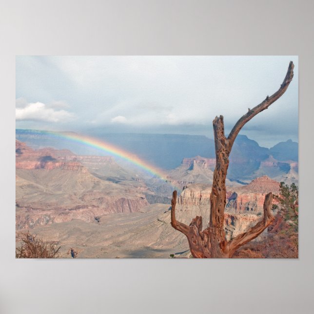 Regenbogen über dem Grand Canyon Poster (Vorne)
