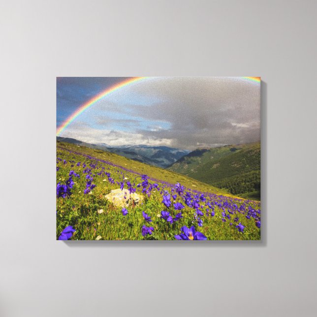 Regenbogen über einer blühenden Wiese Leinwanddruck (Vorderseite)