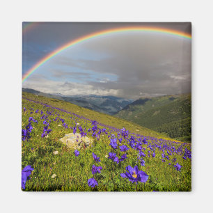 Regenbogen über einer blühenden Wiese Magnet