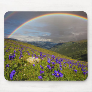 Regenbogen über einer blühenden Wiese Mousepad
