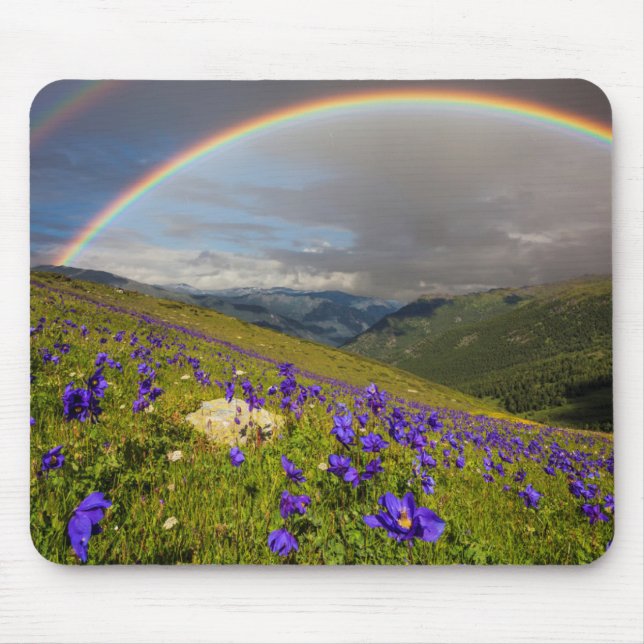 Regenbogen über einer blühenden Wiese Mousepad (Vorne)