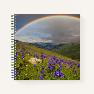 Regenbogen über einer blühenden Wiese Notizbuch
