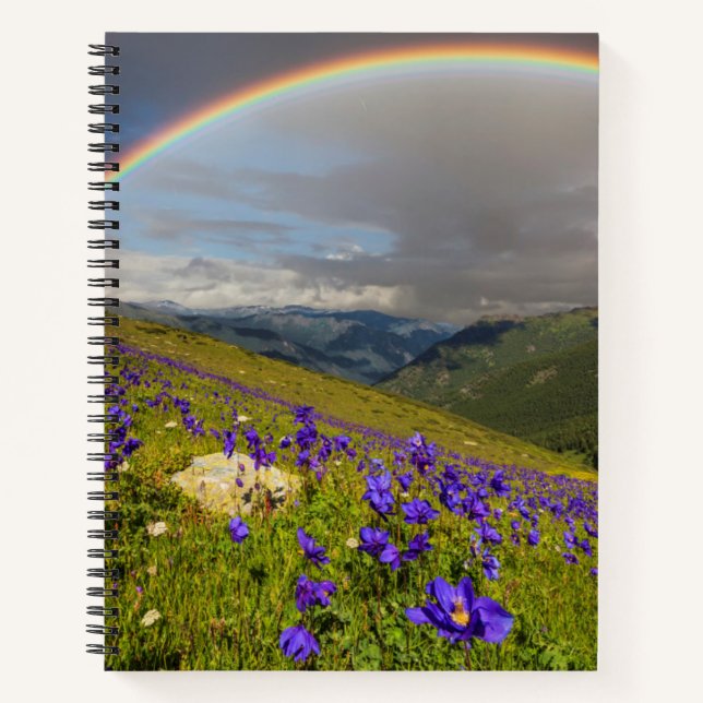 Regenbogen über einer blühenden Wiese Notizbuch (Vorderseite)