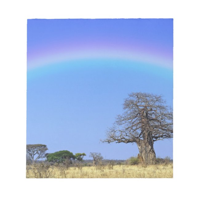 Regenbogen und afrikanischer Baobab-Baum, Adansoni Notizblock (Vorderseite)