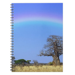 Regenbogen und afrikanischer Baobab-Baum, Adansoni Notizblock