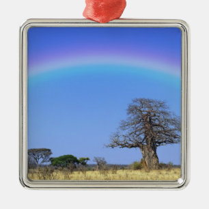 Regenbogen und afrikanischer Baobab-Baum, Adansoni Ornament Aus Metall