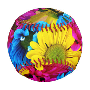 Regenbogen von Daisies Baseball