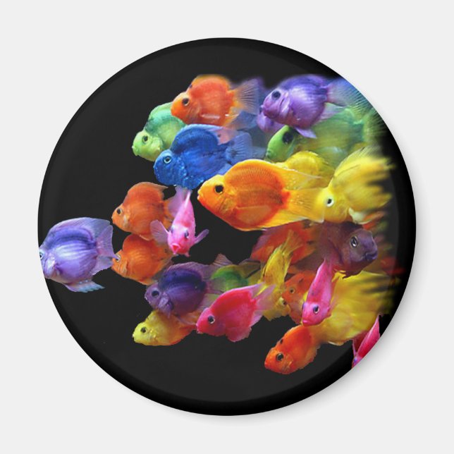 Regenbogen von Parrotfish Magnet (Vorne)