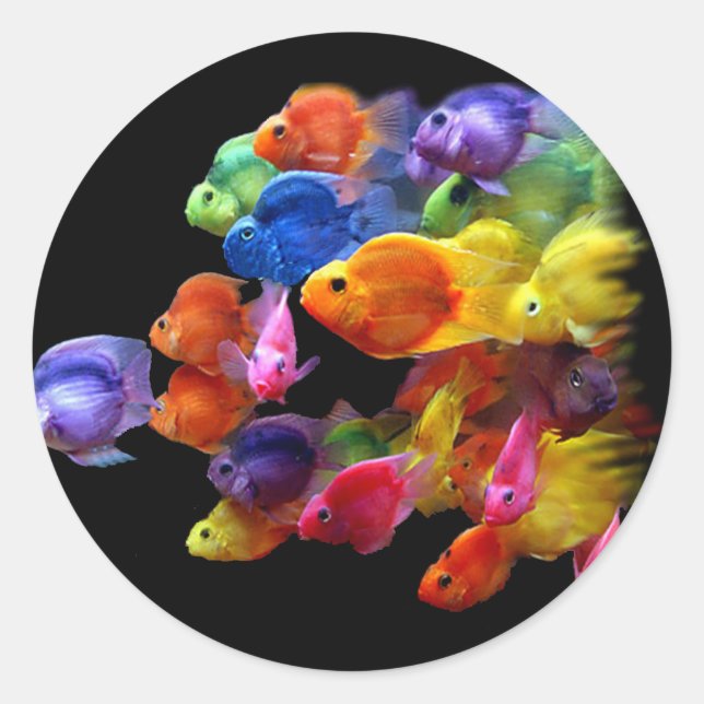 Regenbogen von Parrotfish Runder Aufkleber (Vorderseite)