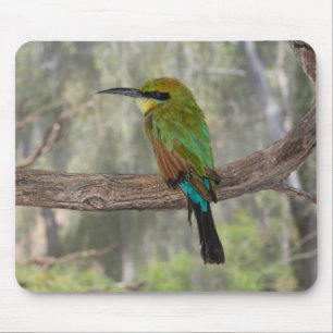Regenbogenbienenfresser, Australien Mousepad
