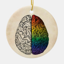 Regenbogenbrain, Vintages Gehirn
