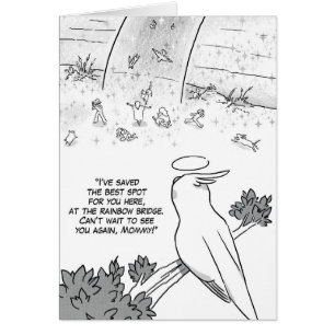 Regenbogenbrücke Cockatielpapagei