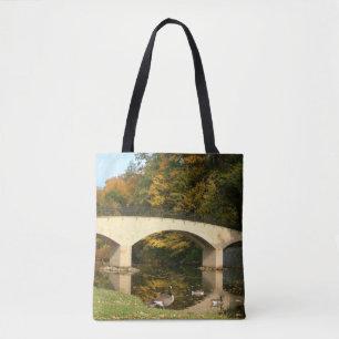 Regenbogenbrücke im Herbst am Grove City College