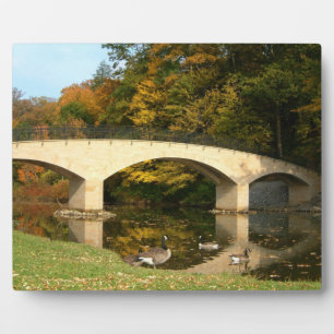 Regenbogenbrücke im Herbst am Grove City College Fotoplatte