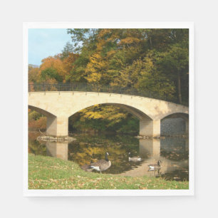 Regenbogenbrücke im Herbst am Grove City College Serviette