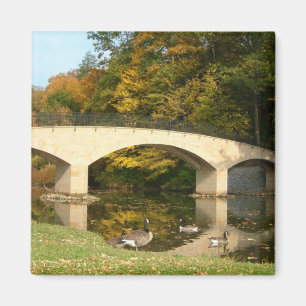 Regenbogenbrücke im Herbst an der Grove City Uni Magnet