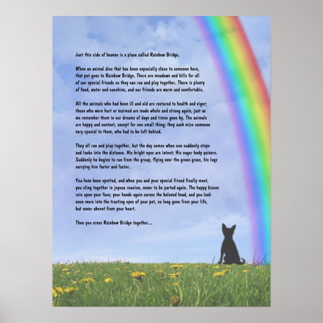 Regenbogenbrücke Poster (Vorne)