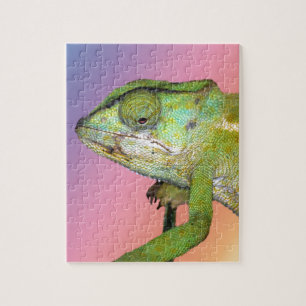 Regenbogenchamäleon Puzzle