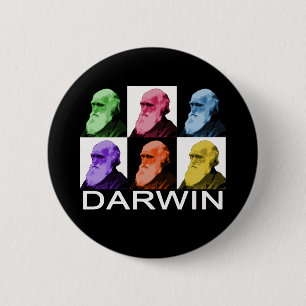 Regenbogendarwin-Knopf Button