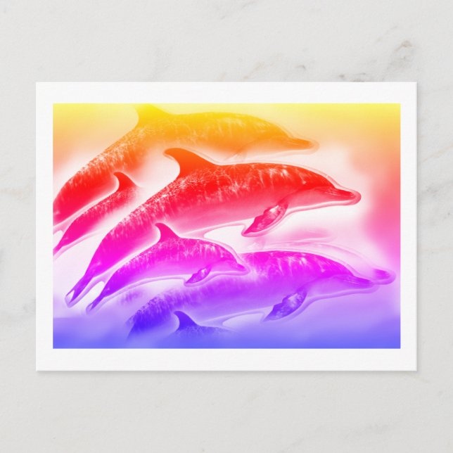 Regenbogendelfine Kunst Postkarte (Vorderseite)