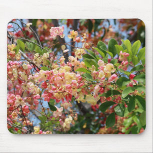 Regenbogendusche Tree Mousepad