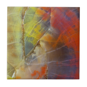 Regenbogenfarben versteinertes Holz Fliese