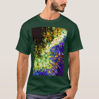 Regenbogenfeuer 1 T-Shirt