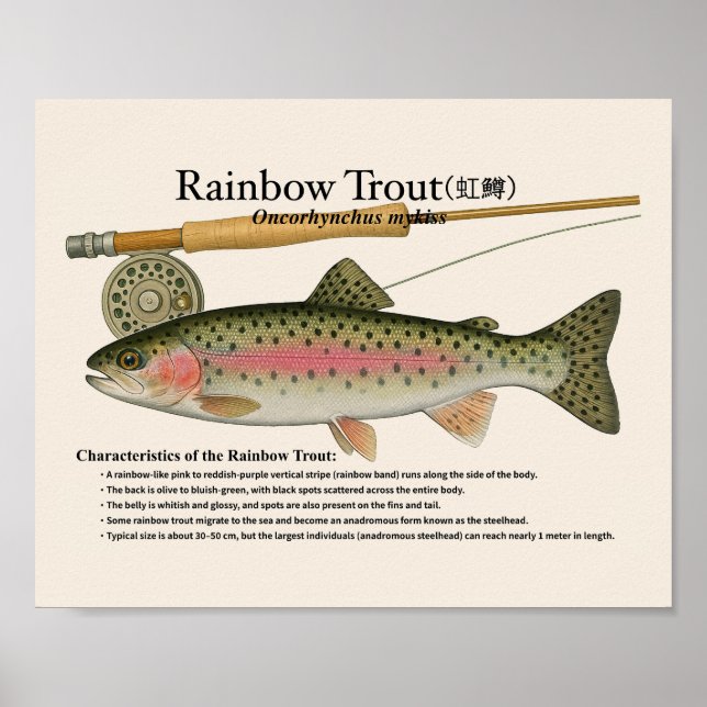 Regenbogenforelle – Englischer Kunstdruck Poster (Vorne)