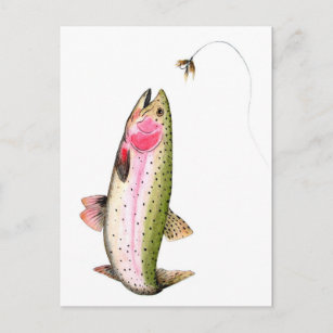 Regenbogenforelle Fischen Postkarte