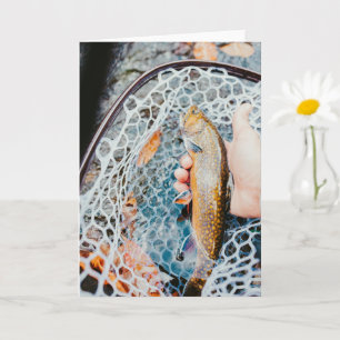 Regenbogenforelle Fischereifotokarte Karte