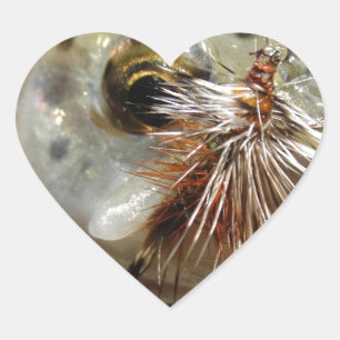 Regenbogenforelle-Foto Herz-Aufkleber