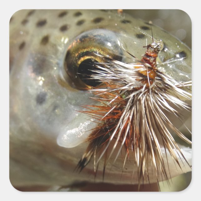 Regenbogenforelle-Foto Quadratischer Aufkleber (Vorderseite)