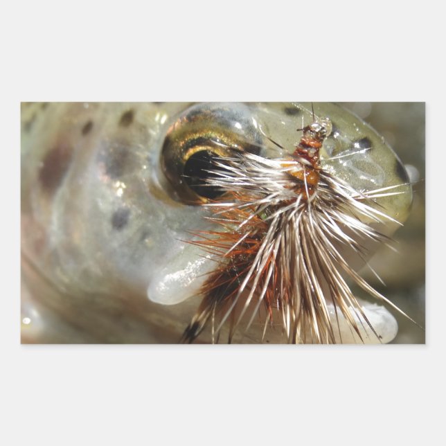 Regenbogenforelle-Foto Rechteckiger Aufkleber (Vorderseite)