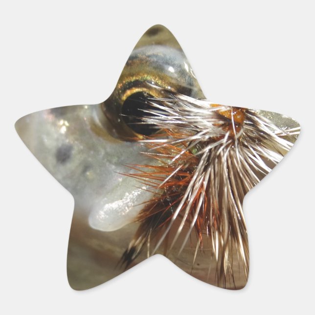 Regenbogenforelle-Foto Stern-Aufkleber (Vorderseite)