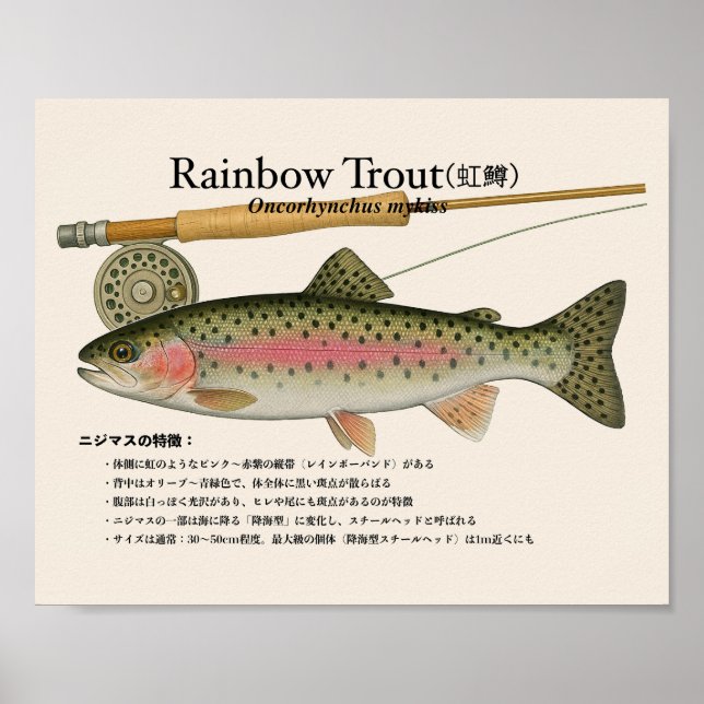 Regenbogenforelle – Japanischer Kunstdruck Poster (Vorne)