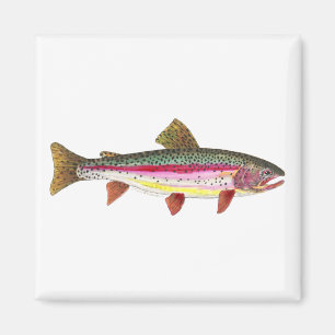 Regenbogenforelle Magnet