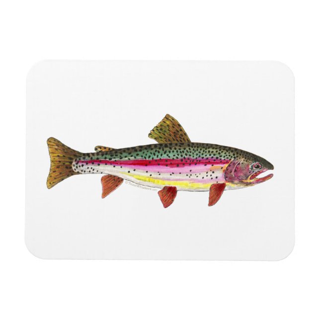 Regenbogenforelle Magnet (Horizontal)